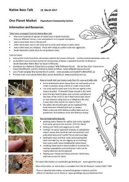 nativebeesinformation20170318