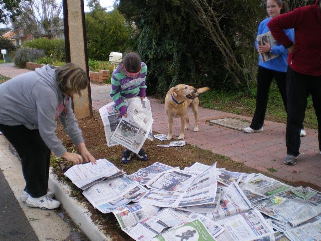 https://sustainablecommunitiessa.files.wordpress.com/2012/09/kirstye-verg-044.jpg?w=300