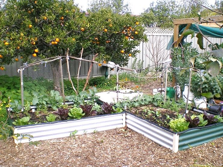 https://sustainablecommunitiessa.files.wordpress.com/2012/09/pic-1.jpg?w=300