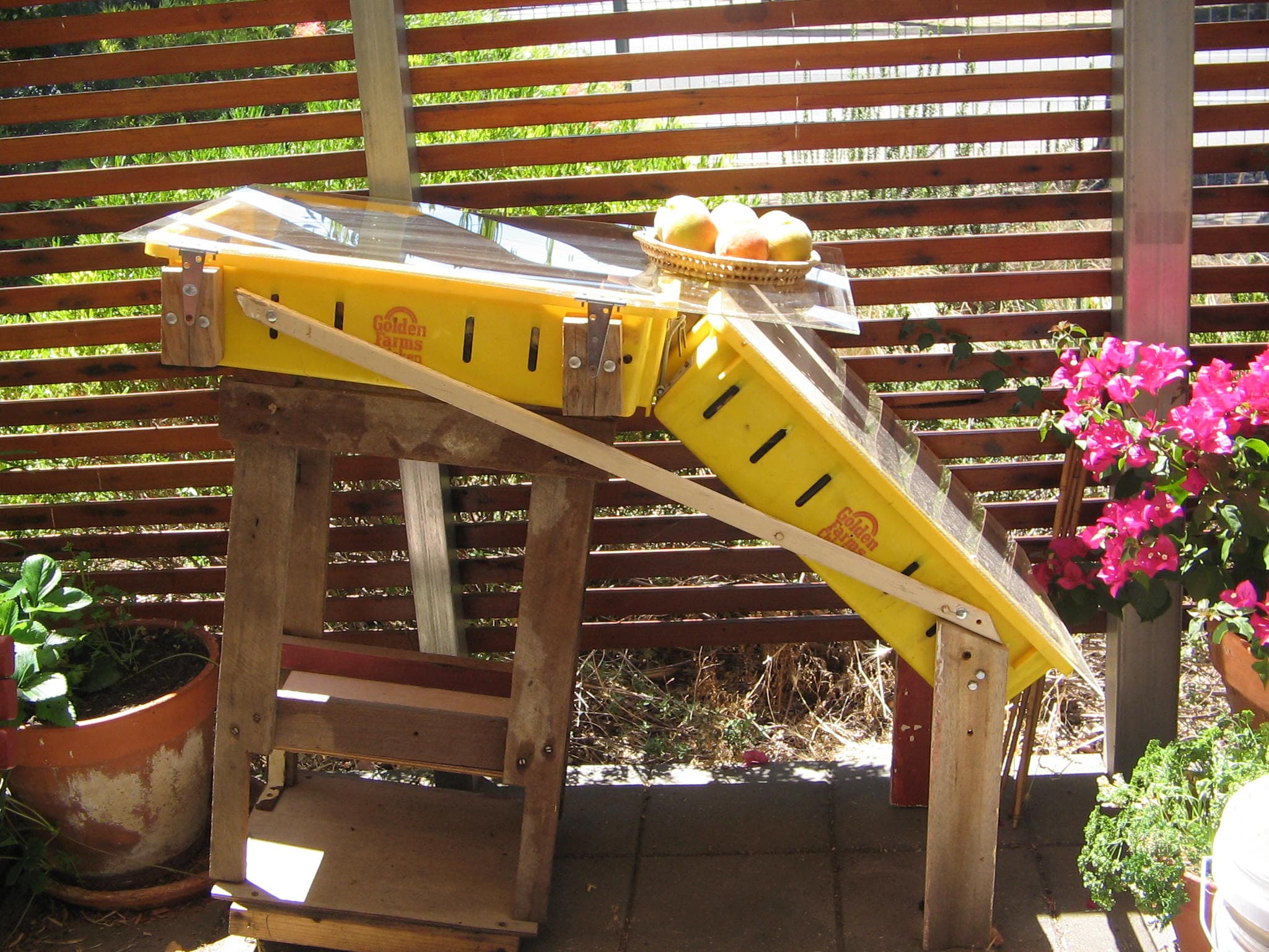 Solar dehydrator