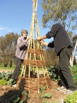 https://communitygarden.org.au/wp-content/uploads/2010/07/RIMG0174.jpg