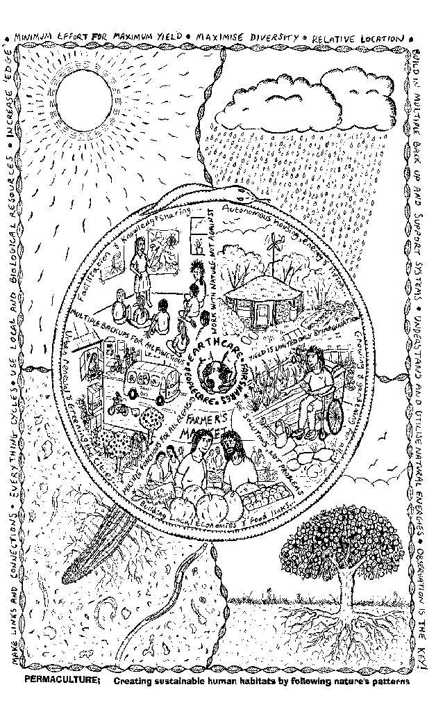 Permaculture_mandala