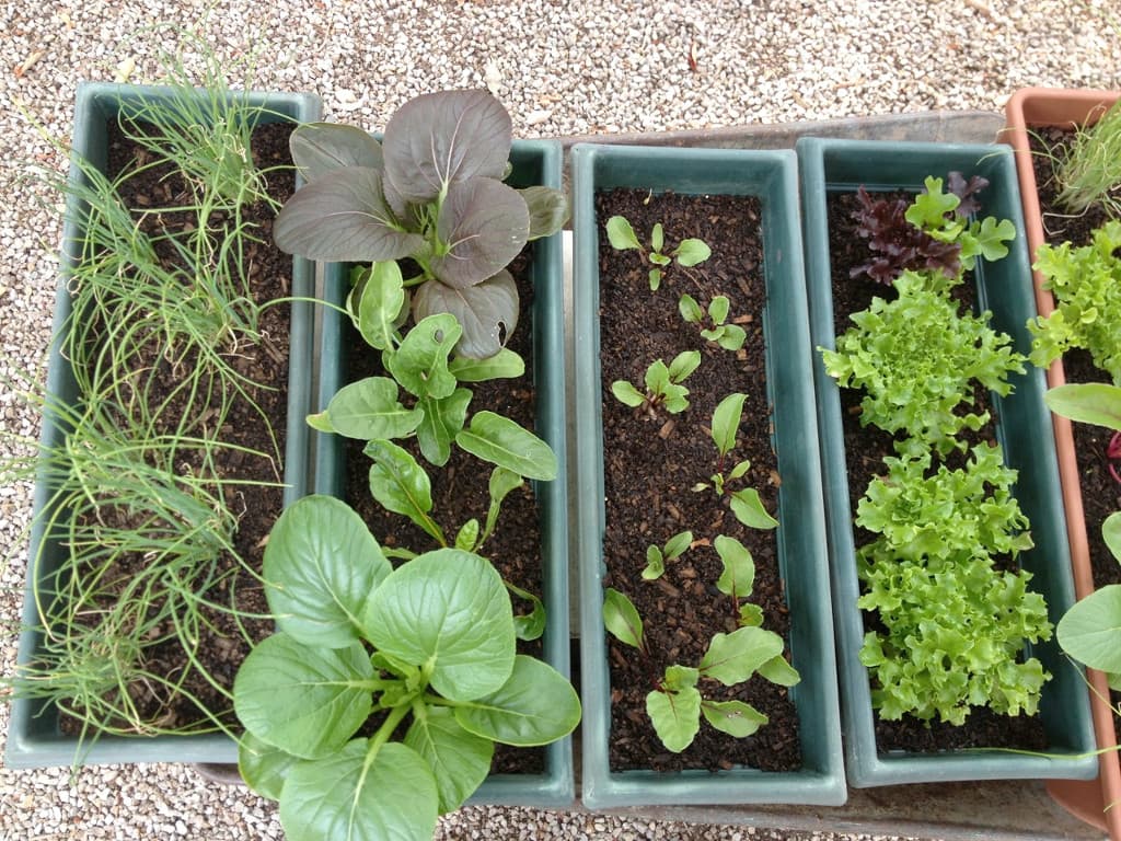 gardenkit