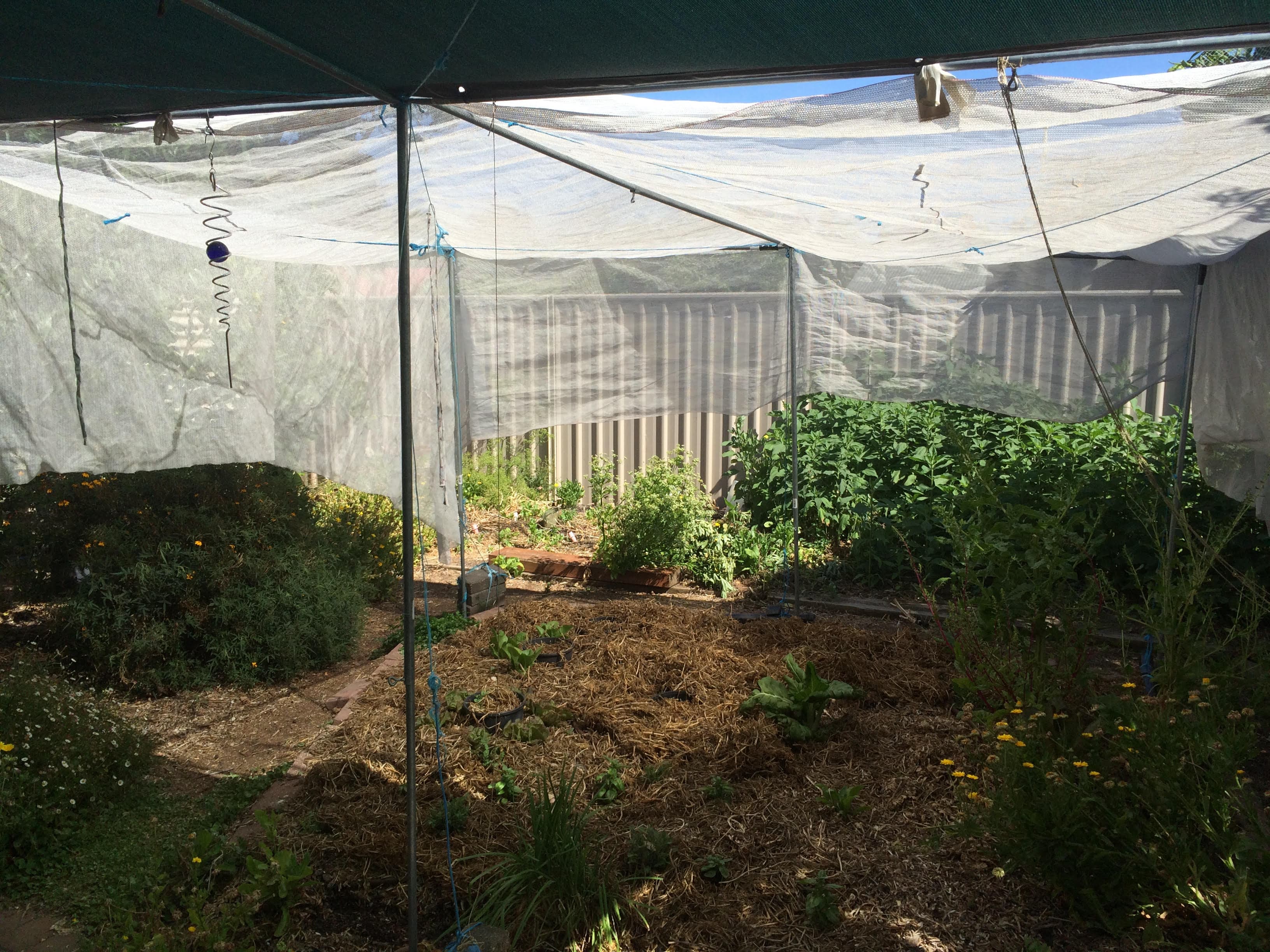 Shade cloth on a frame protecting a large area of garden