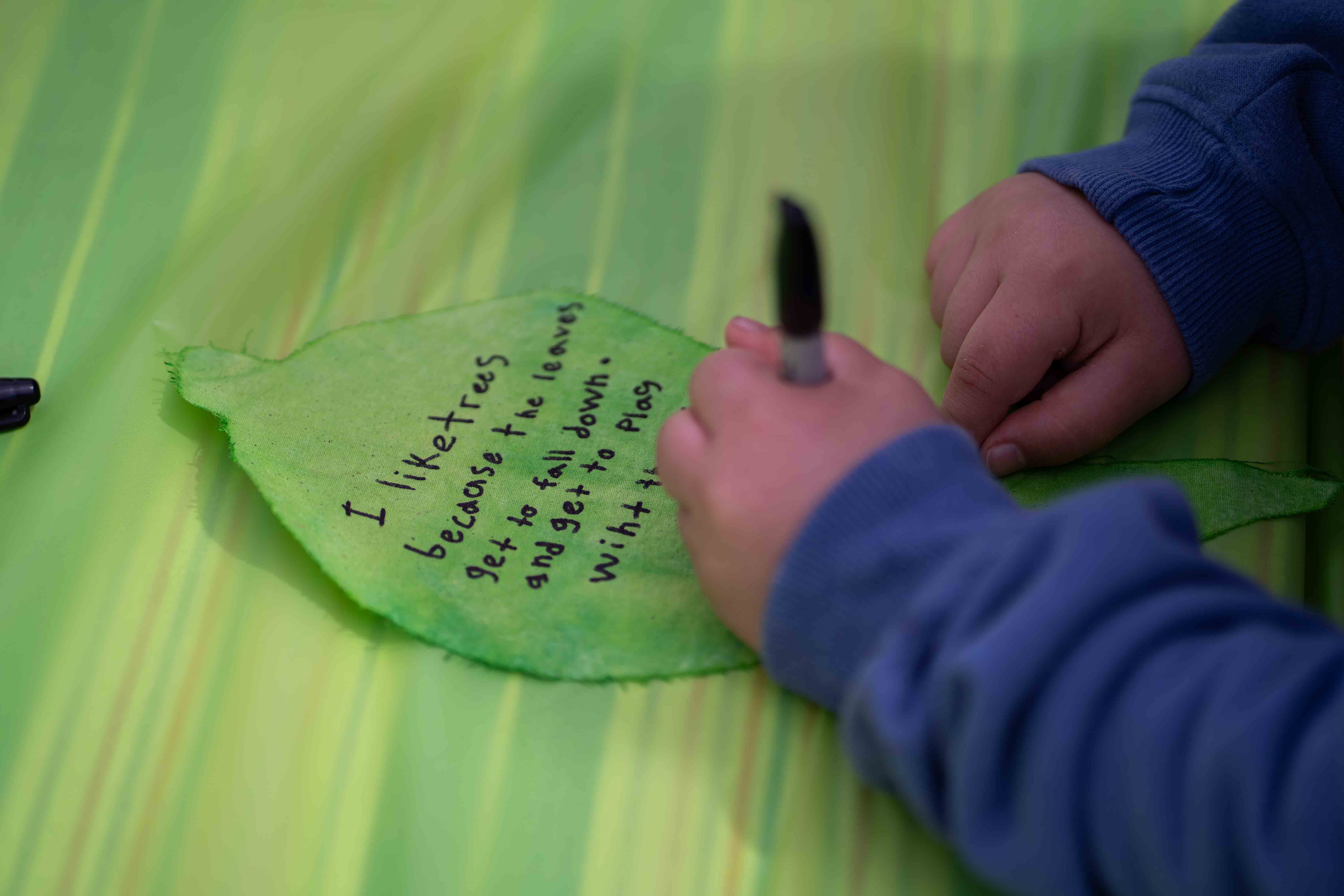 DSC6070DIGITAL USE ONLY Photo by Jon Wah