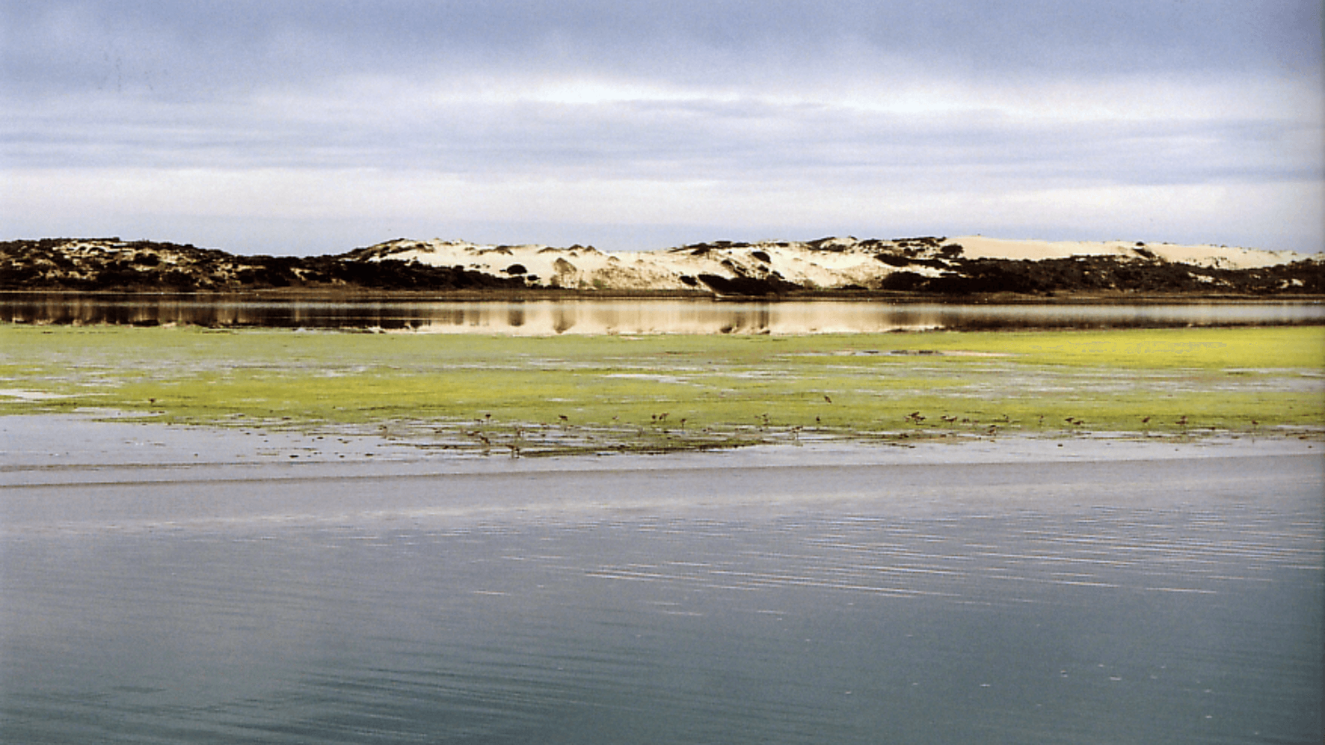 coorong 2