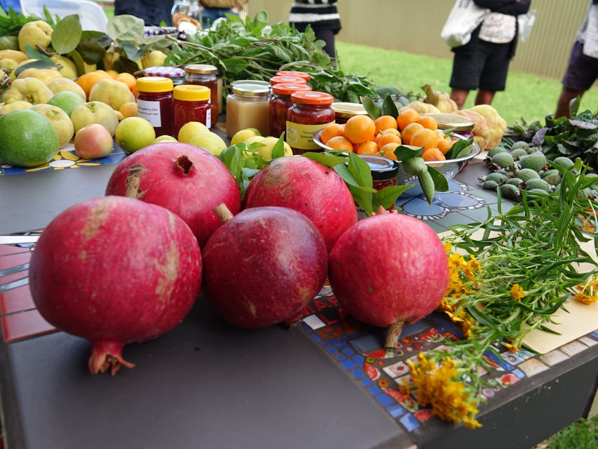 Seacliff Community Produce Swap