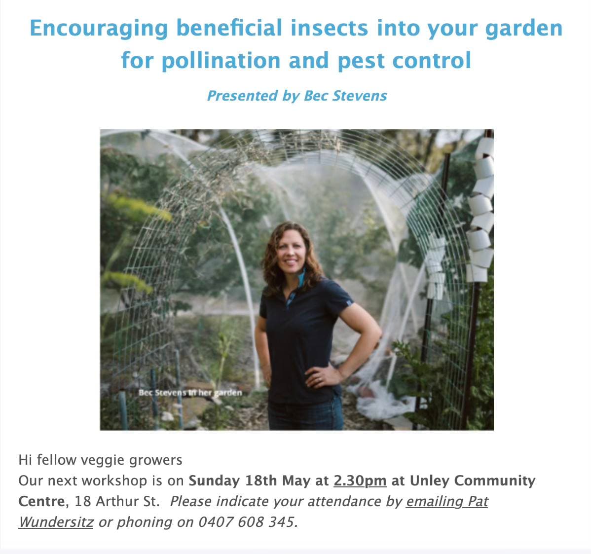 Encourage Beneficial Insects into Your Garden for Pollination and Pest Control