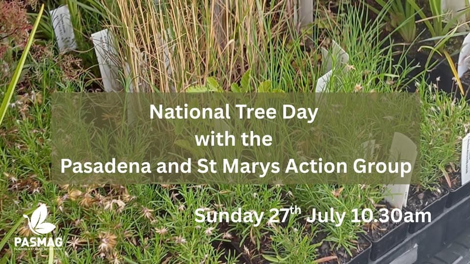 National Tree Day with Pasadena And St Marys Action Group