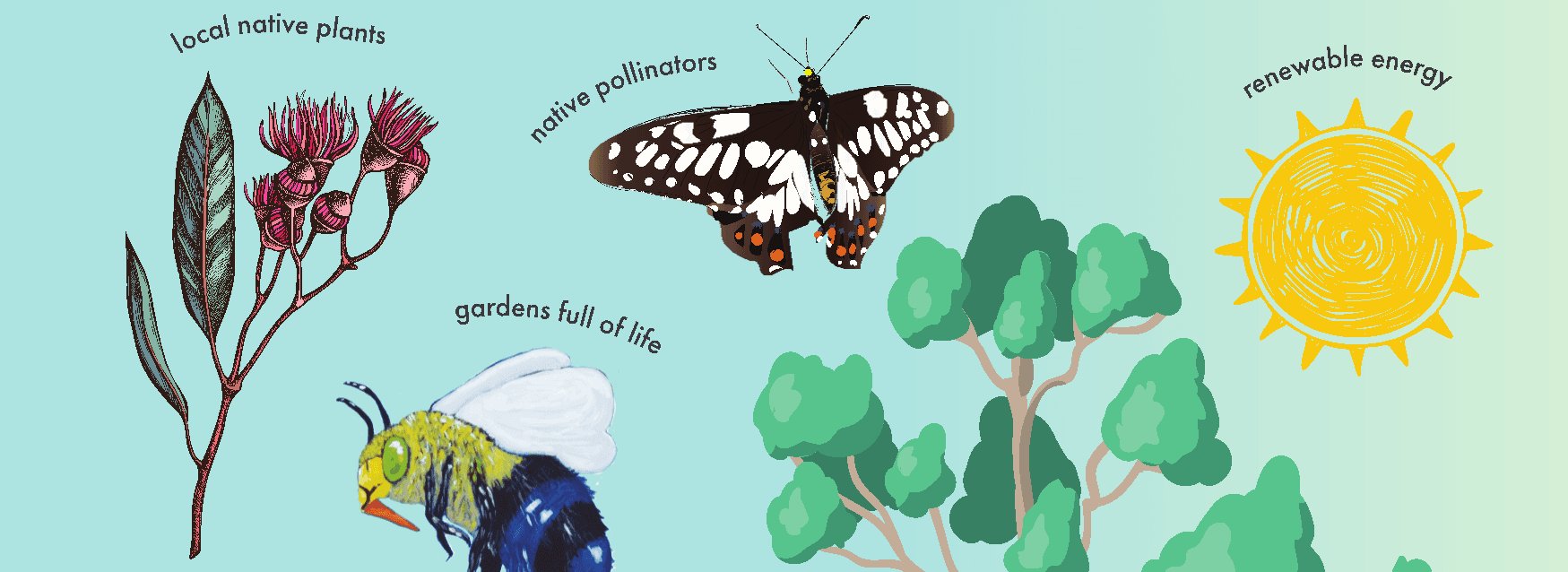 Illustration of local native plants, native pollinators, gardens full of life and renewable energy.