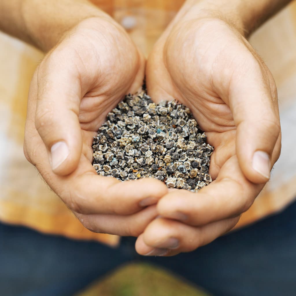 A man's outstretched hands showing gardening seeds