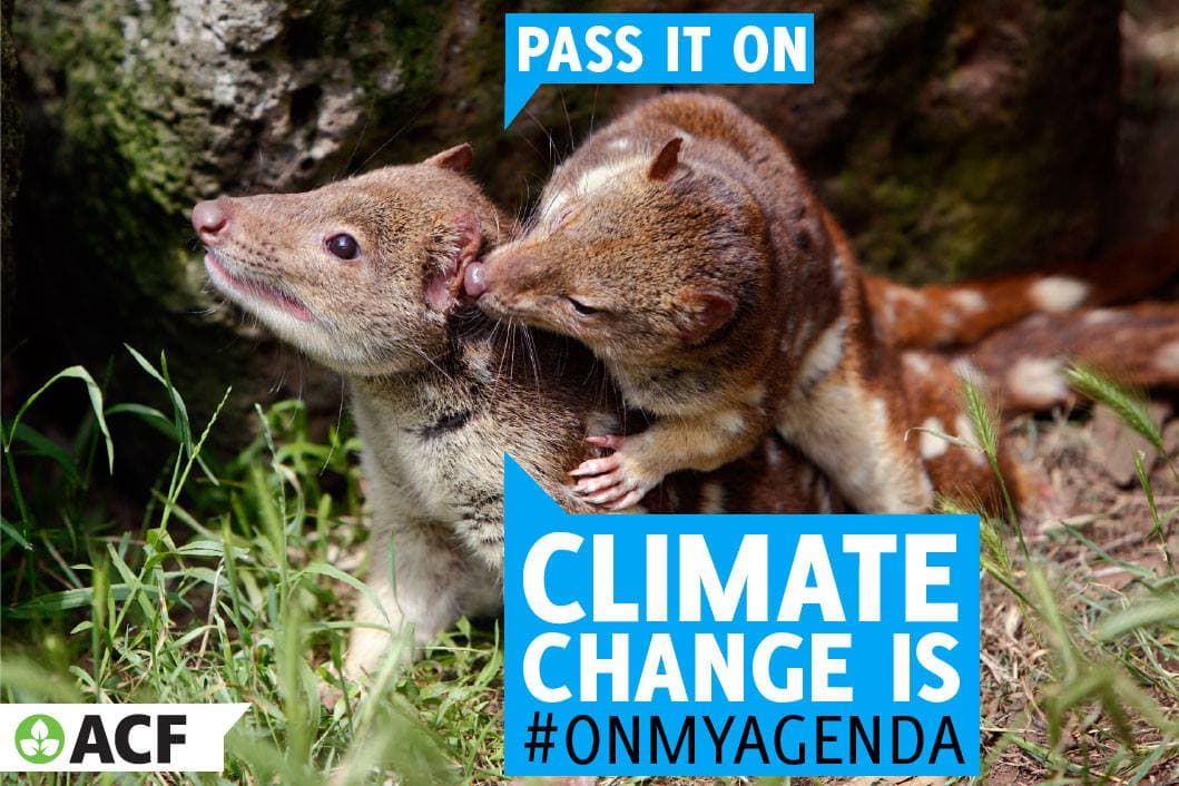 https://www.action.org.au/sites/default/files/images/G20%20pic.jpg