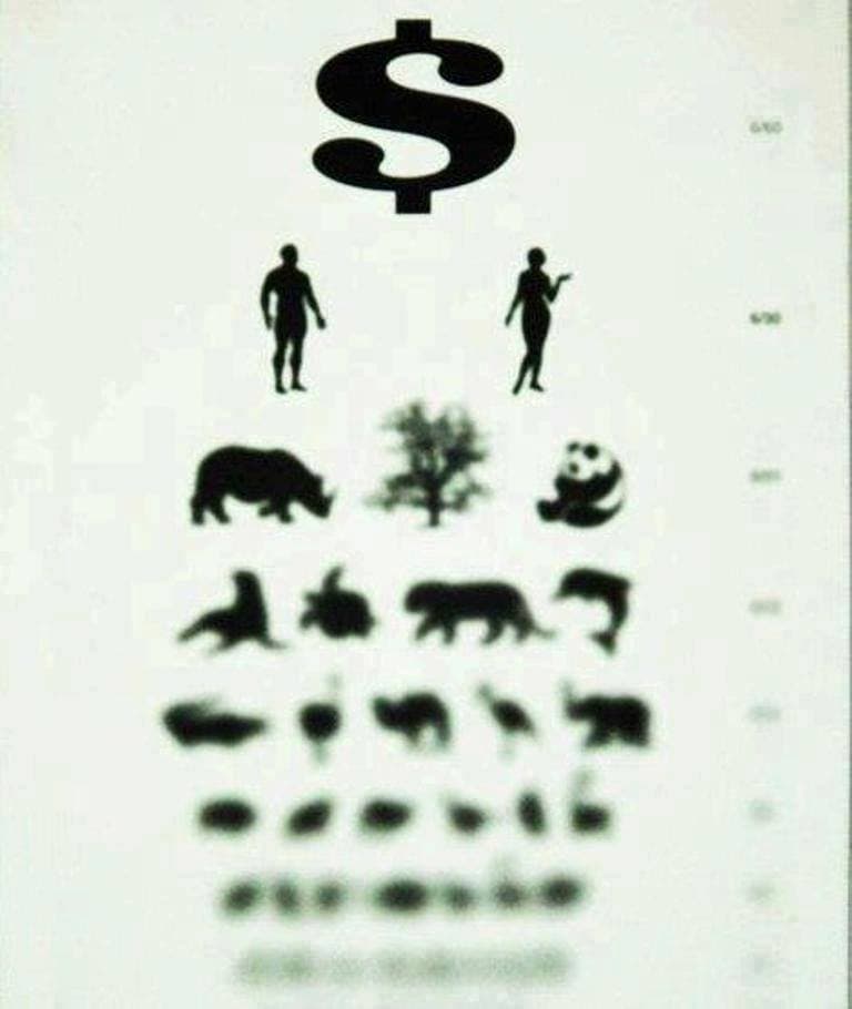 ecological blindness