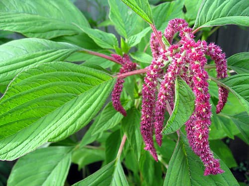 https://farm3.static.flickr.com/2557/3720671923_d68181b0b9.jpg