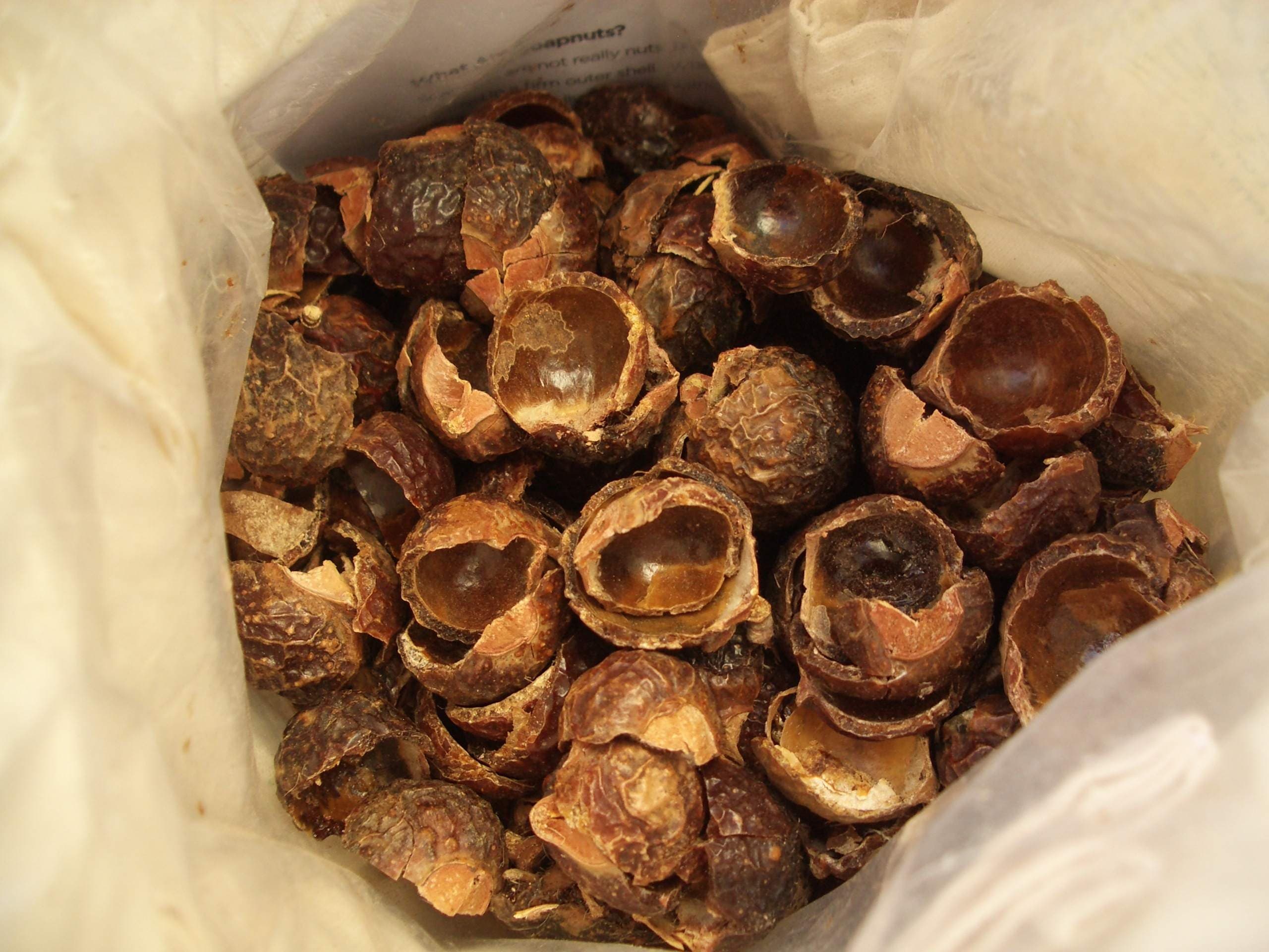 https://evolvinggreen.files.wordpress.com/2011/01/soapnuts.jpg?w=300